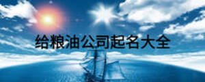 給糧油公司起名大全