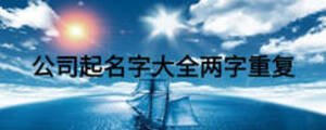 公司起名字大全兩字重復(fù)