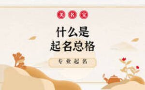 什么是起名總格