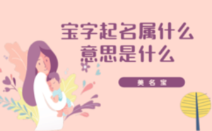 寶字起名屬什么意思是什么