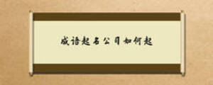 成語起名公司如何起