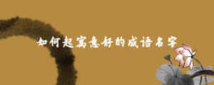 如何起寓意好的成語名字
