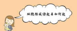 雙胞胎成語起名如何起