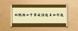 雙胞胎四個(gè)字成語(yǔ)起名如何起