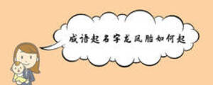 成語(yǔ)起名字龍鳳胎如何起