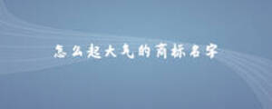 怎么起大氣的商標(biāo)名字