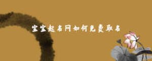 寶寶起名網如何免費取名