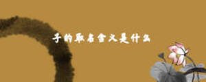 子的取名含義是什么