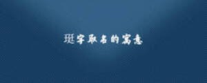 珽字取名的寓意