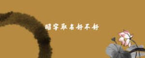 昭字取名好不好