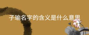 子瑜名字的含義是什么意思