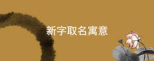 新字取名寓意