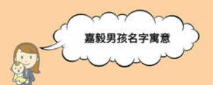 嘉毅男孩名字寓意