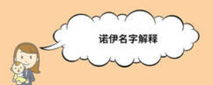 諾伊名字解釋