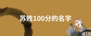蘇姓100分的名字