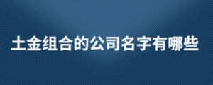 土金組合的公司名字有哪些