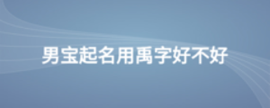 公司2 (5).png