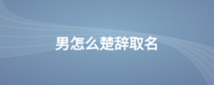 公司2 (4).png