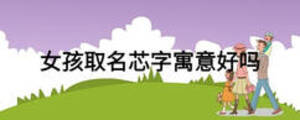 女孩取名芯字寓意好嗎