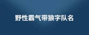 野性霸氣帶狼字隊名