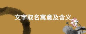 文字取名寓意及含義