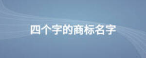 四個字的商標(biāo)名字