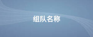 組隊(duì)名稱(chēng)