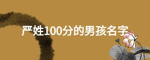 嚴(yán)姓100分的男孩名字