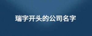 瑞字開頭的公司名字