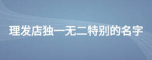 理發(fā)店獨(dú)一無(wú)二特別的名字
