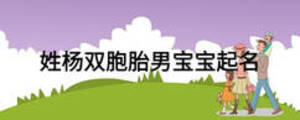 姓楊雙胞胎男寶寶起名