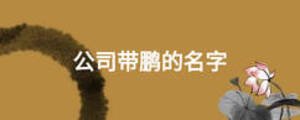公司帶鵬的名字