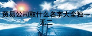 貿易公司取什么名字大全獨一無二