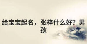 給寶寶起名，張梓什么好？男孩