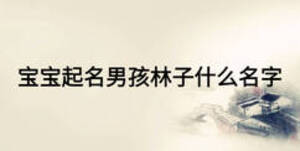 寶寶起名男孩林子什么名字