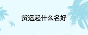 貨運起什么名好
