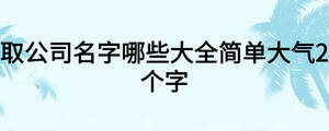 取公司名字哪些大全簡單大氣2個字