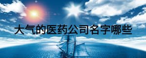 大氣的醫(yī)藥公司名字哪些