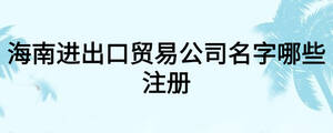 海南進(jìn)出口貿(mào)易公司名字哪些注冊(cè)