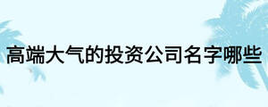 高端大氣的投資公司名字哪些