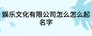 娛樂文化有限公司怎么怎么起名字