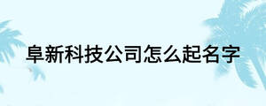 阜新科技公司怎么起名字