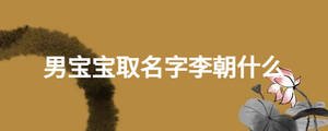 男寶寶取名字李朝什么