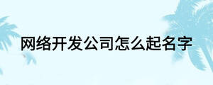 網絡開發公司怎么起名字