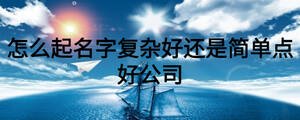 怎么起名字復雜好還是簡單點好公司