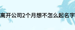 離開公司2個月想不怎么起名字