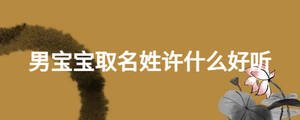 男寶寶取名姓許什么好聽