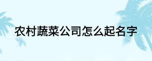 農村蔬菜公司怎么起名字