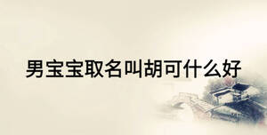 男寶寶取名叫胡可什么好