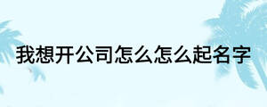 我想開公司怎么怎么起名字